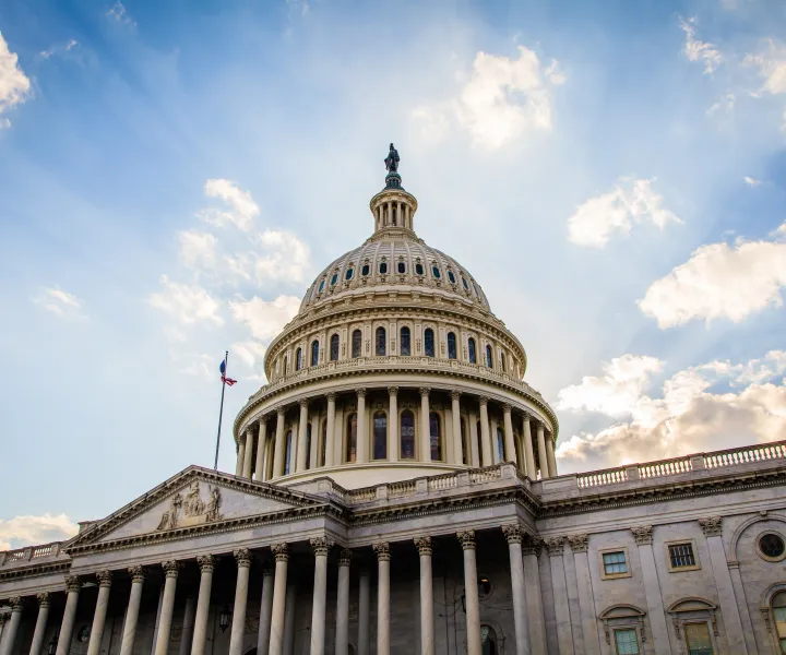 Scam policy in action