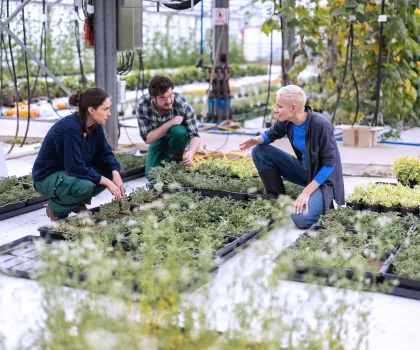 Spending the Summer in Corporate Responsibility