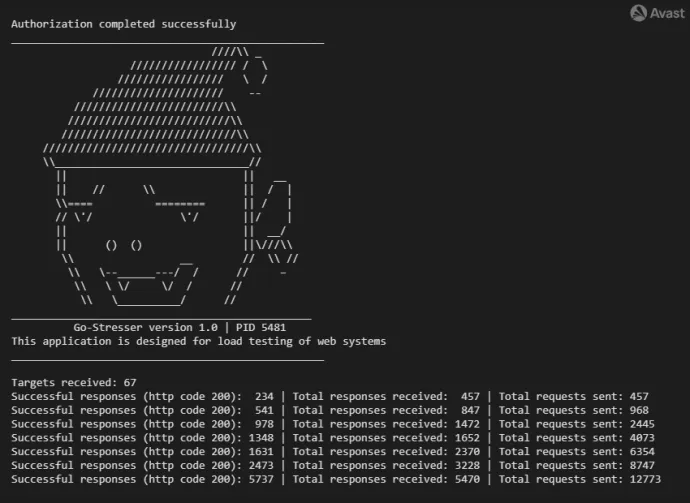 Console output of the Go-Stresser version 1.0 – variant 1