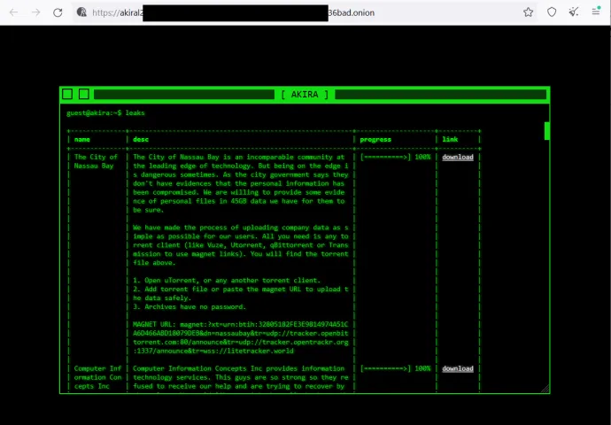 Figure 6: TOR site listing and describing victim company.