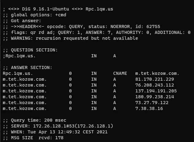DNS records are changed rapidly and regularly
