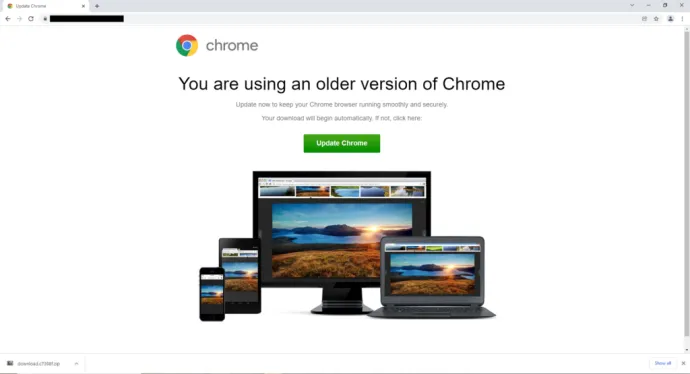FakeUpdate Campaign