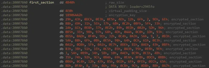 A section header in one of the custom PE-like file formats: raw_size corresponds to SizeOfRawData, raw_size + virtual_padding_size is effectively VirtualSize. There is no VirtualAddress or PointerToRawData equivalent because the sections are loaded sequen
