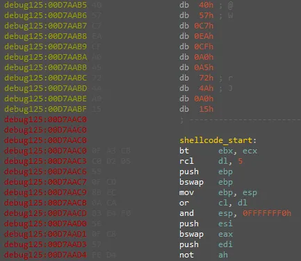 The start of the shellcode within the shared section. It might be hard to pinpoint the exact start address because it unconventionally starts on an odd bt instruction.