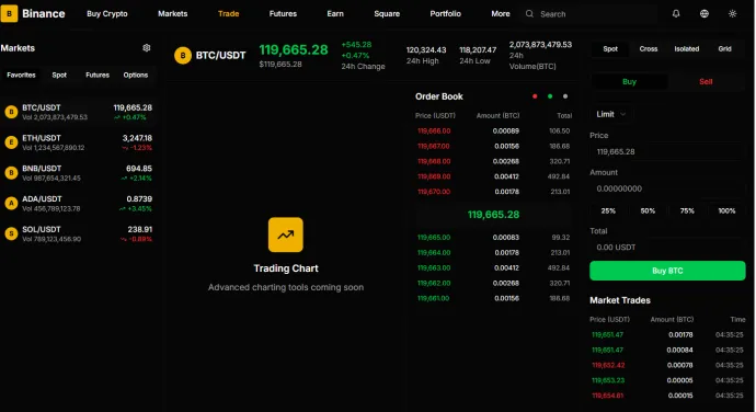 Our testing scam site resembling Binance